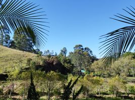  Land for sale in El Carmen De Viboral, Antioquia, El Carmen De Viboral