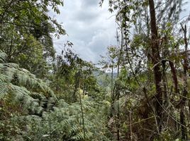  Grundstück zu verkaufen in Retiro, Antioquia, Retiro