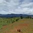 Terrain à vendre à La Ceja, Antioquia, La Ceja, Antioquia