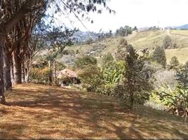 Terrain à vendre à Guarne, Antioquia, Guarne, Antioquia, Colombie