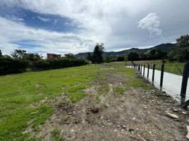  Land for sale in El Carmen De Viboral, Antioquia, El Carmen De Viboral