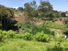  Land for sale in Rionegro, Antioquia, Rionegro