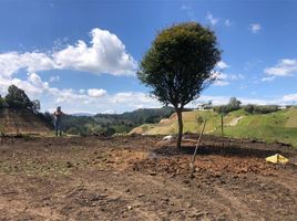  Terreno (Parcela) en venta en La Ceja, Antioquia, La Ceja