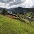  Land for sale in La Ceja, Antioquia, La Ceja