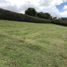  Land for sale in La Ceja, Antioquia, La Ceja