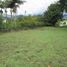  Land for sale in La Ceja, Antioquia, La Ceja