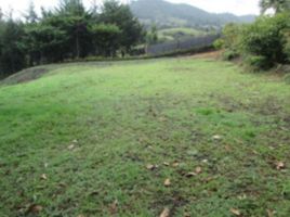  Terreno (Parcela) en venta en La Ceja, Antioquia, La Ceja