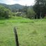  Land for sale in La Ceja, Antioquia, La Ceja