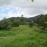  Land for sale in La Ceja, Antioquia, La Ceja