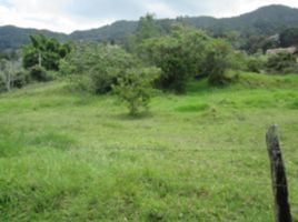  Terreno (Parcela) en venta en La Ceja, Antioquia, La Ceja