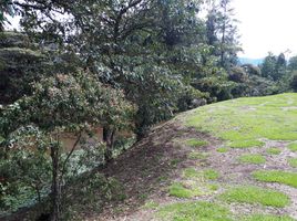  Terreno (Parcela) en venta en La Ceja, Antioquia, La Ceja