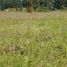  Land for sale in Rionegro, Antioquia, Rionegro