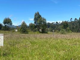  Land for sale in Rionegro, Antioquia, Rionegro