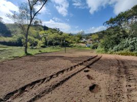 3 Habitación Casa en venta en Marinilla, Antioquia, Marinilla