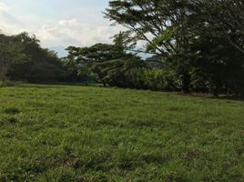  Terreno (Parcela) en venta en Valle Del Cauca, Jamundi, Valle Del Cauca