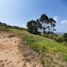  Land for sale in Marinilla, Antioquia, Marinilla