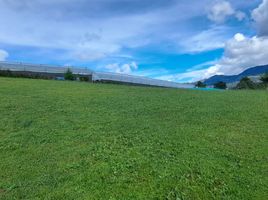  Terreno (Parcela) en venta en La Ceja, Antioquia, La Ceja