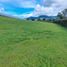  Land for sale in La Ceja, Antioquia, La Ceja