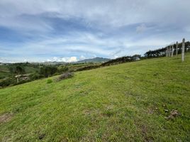  Land for sale in Marinilla, Antioquia, Marinilla