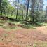  Land for sale in Donato Guerra, Mexico, Donato Guerra