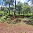  Land for sale in Donato Guerra, Mexico, Donato Guerra