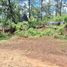  Land for sale in Donato Guerra, Mexico, Donato Guerra