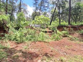  Land for sale in Donato Guerra, Mexico, Donato Guerra