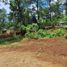  Land for sale in Donato Guerra, Mexico, Donato Guerra