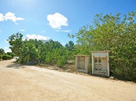  Grundstück zu verkaufen in Cozumel, Quintana Roo, Cozumel