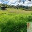  Terreno (Parcela) en venta en Guarne, Antioquia, Guarne, Antioquia