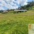  Terreno (Parcela) en venta en Guarne, Antioquia, Guarne, Antioquia