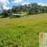  Terreno (Parcela) en venta en Guarne, Antioquia, Guarne, Antioquia