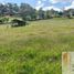  Terreno (Parcela) en venta en Guarne, Antioquia, Guarne, Antioquia