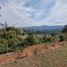  Land for sale in Guarne, Antioquia, Guarne