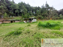  Terreno (Parcela) en venta en Guarne, Antioquia, Guarne