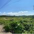  Land for sale in Compostela, Nayarit, Compostela