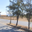  토지을(를) Dist Ocotlan, 오악 사카에서 판매합니다., Dist Ocotlan
