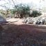  Land for sale in Del Centro, Oaxaca, Del Centro