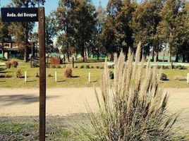  Land for sale in Moreno, Buenos Aires, Moreno