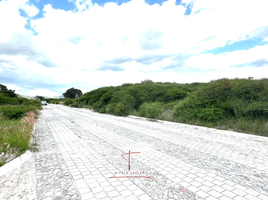  Terreno (Parcela) en venta en Puebla, Puebla, Puebla