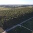  Land for sale in Monte Caseros, Corrientes, Monte Caseros