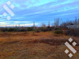  Land for sale in Neuquen, Confluencia, Neuquen