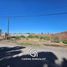  Land for sale in Confluencia, Neuquen, Confluencia