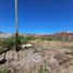  Land for sale in Confluencia, Neuquen, Confluencia