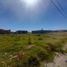  Land for sale in General Roca, Rio Negro, General Roca