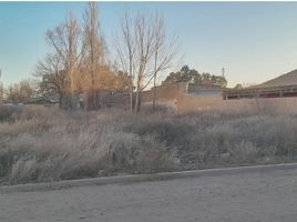  Land for sale in Confluencia, Neuquen, Confluencia