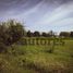  Land for sale in Santa Fe, Rosario, Santa Fe