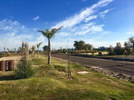  Land for sale in La Plata, Buenos Aires, La Plata