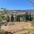  Land for sale in Alumine, Neuquen, Alumine