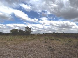  Land for sale in Florencio Varela, Buenos Aires, Florencio Varela